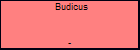 Budicus 