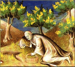 Illustration zu den Sentenzen  von Galen:  Galen beim Sammeln von Heilkrutern - Pergament, Frankreich 15. Jahrhundert